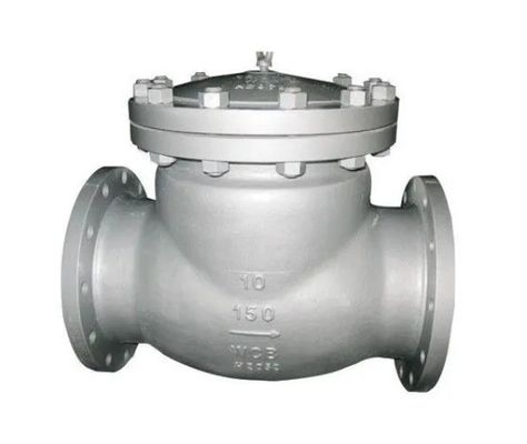 CI/DI/WCB/SS DN250 PN16 フレンズエンド 制御可能なポートサイズを持つスイングチェックバルブ