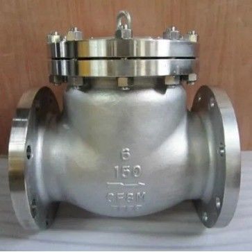 CI/DI/WCB/SS DN250 PN16 フレンズエンド 制御可能なポートサイズを持つスイングチェックバルブ