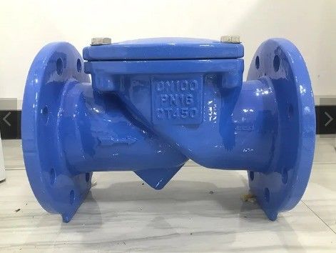 サポート・アフターセールスサービス 柔らかい鉄フレンズ ゴムフラップ チェックバルブ DN50-DN600