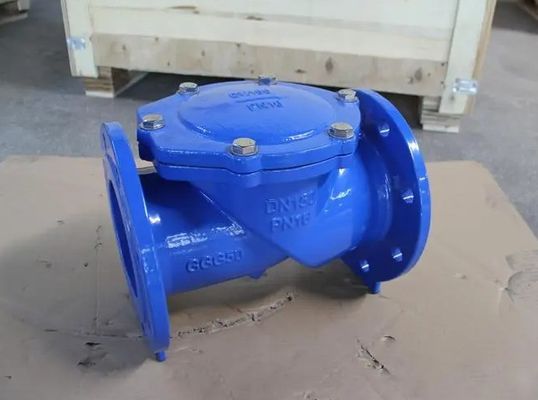 サポート・アフターセールスサービス 柔らかい鉄フレンズ ゴムフラップ チェックバルブ DN50-DN600