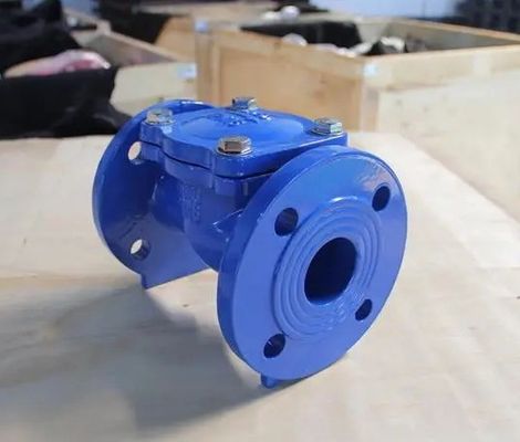 サポート・アフターセールスサービス 柔らかい鉄フレンズ ゴムフラップ チェックバルブ DN50-DN600