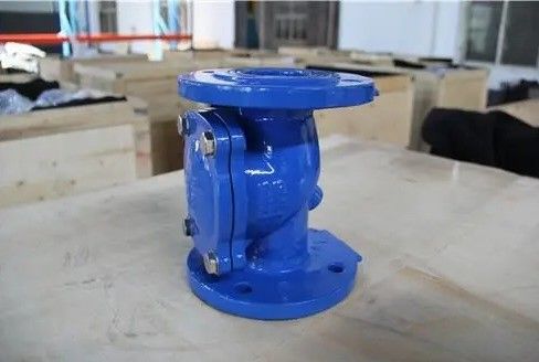 サポート・アフターセールスサービス 柔らかい鉄フレンズ ゴムフラップ チェックバルブ DN50-DN600