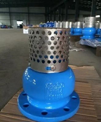 耐久性および流体制御のためのカスタマイズされたサービス WCB 鋳鉄フラングドエンドフットバルブ