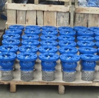 耐久性および流体制御のためのカスタマイズされたサービス WCB 鋳鉄フラングドエンドフットバルブ