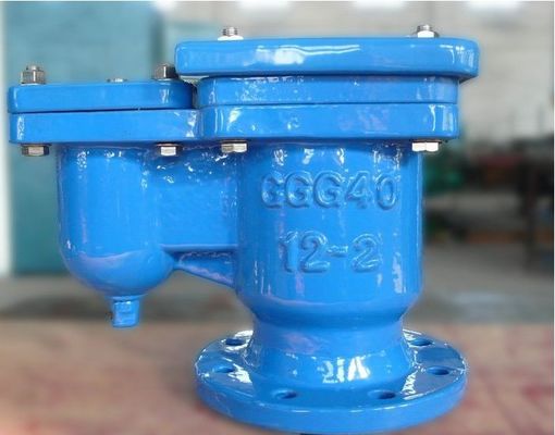 標準サービス 4 インチ柔らかい鉄 自動空気放出バルブ オーダーメイドニーズ