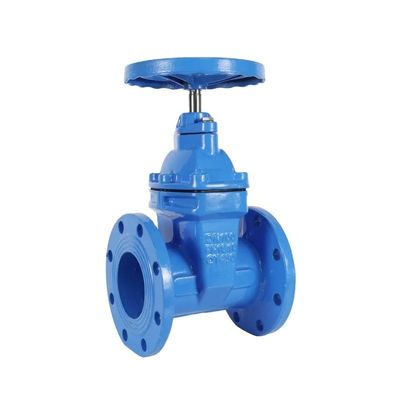 カスタマイズされた柔らかい鋳鉄のダブルボール自動空気放出バルブ PN10 PN16 DN50-DN300