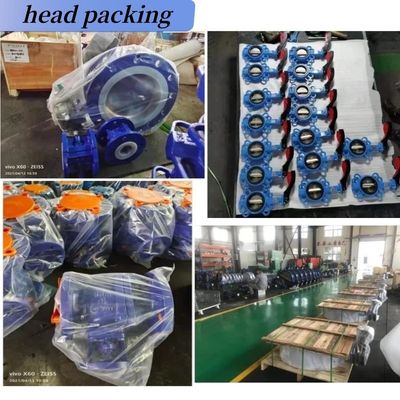 EPDM PTFEシール材料 2インチ トライクランプ 衛生用蝶弁 肺動動体